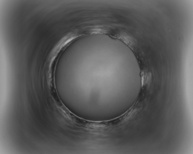 X0000086770339200704271754