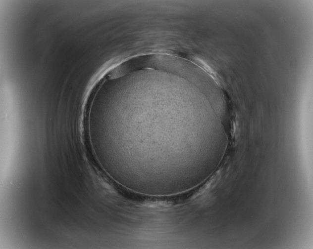 X0000086770340200704271754