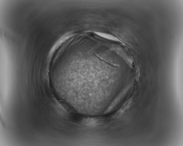 X0000086770341200704271754