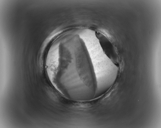 X0000086770343200704271754