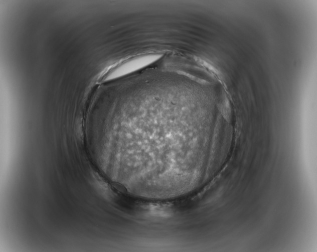 X0000086770345200704271754