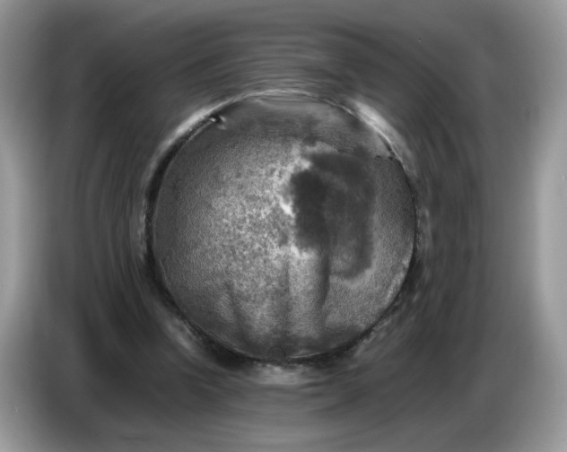 X0000086770346200704271754