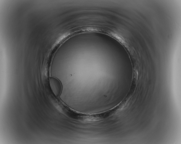 X0000086770347200704271754