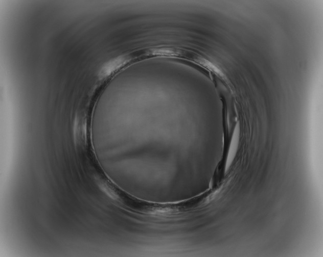X0000086770349200704271754