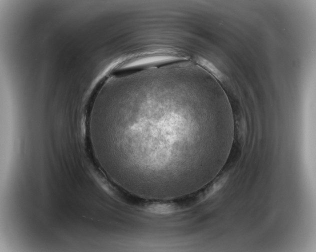 X0000086770350200704271754