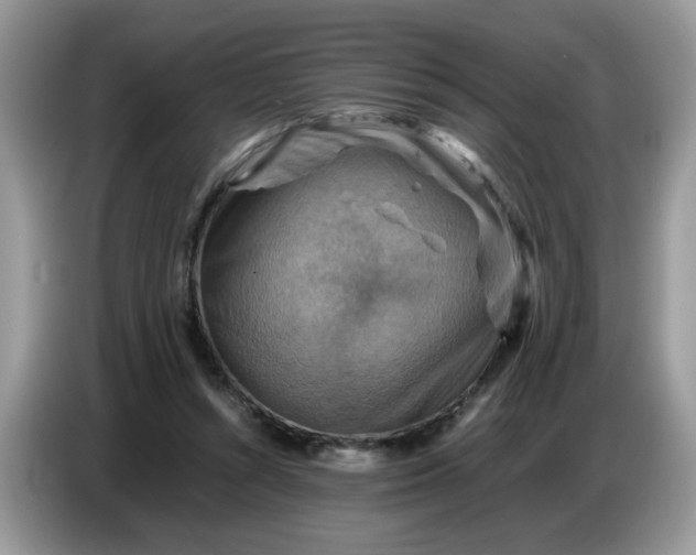 X0000086770352200704271754