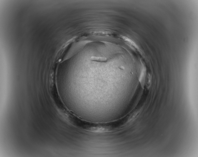 X0000086770356200704271754