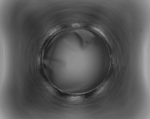 X0000086770357200704271754
