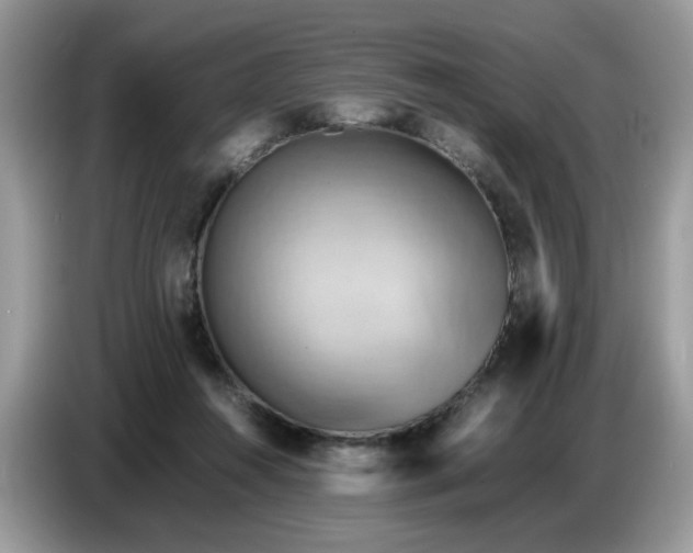 X0000086770360200704271755
