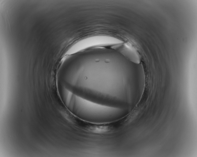 X0000086770361200704271755