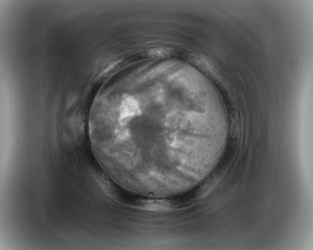 X0000086770363200704271755