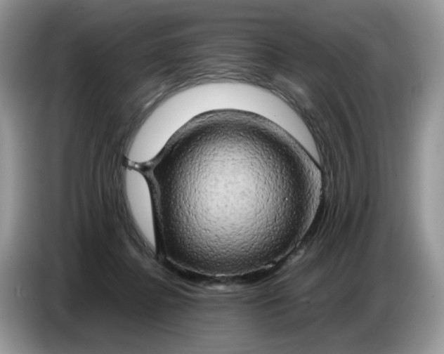 X0000086770364200704271755