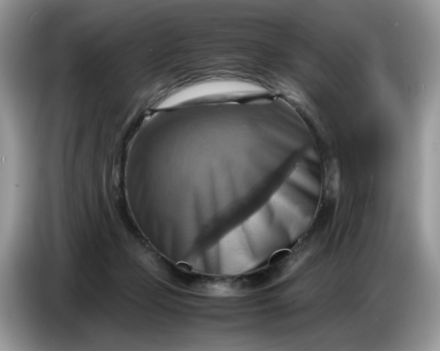 X0000086770365200704271755