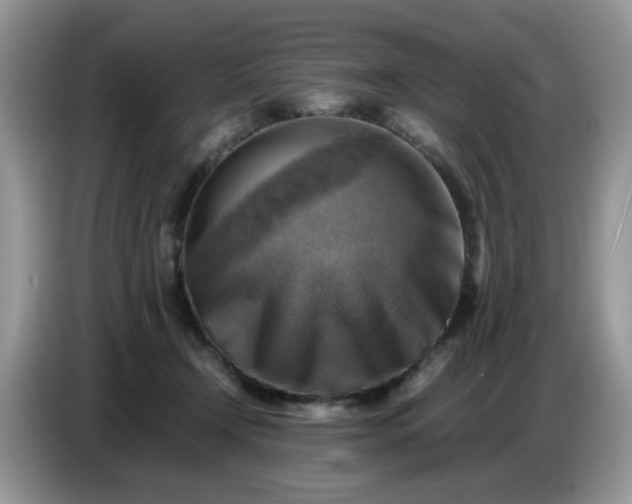 X0000086770366200704271755