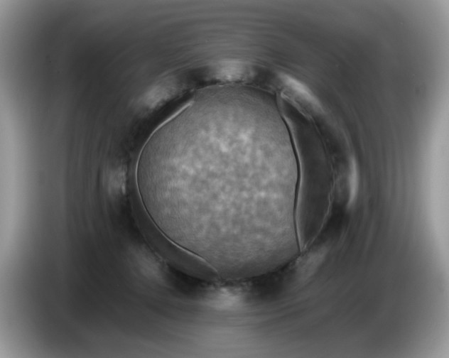 X0000086770368200704271755