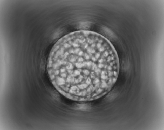 X0000086770370200704271755