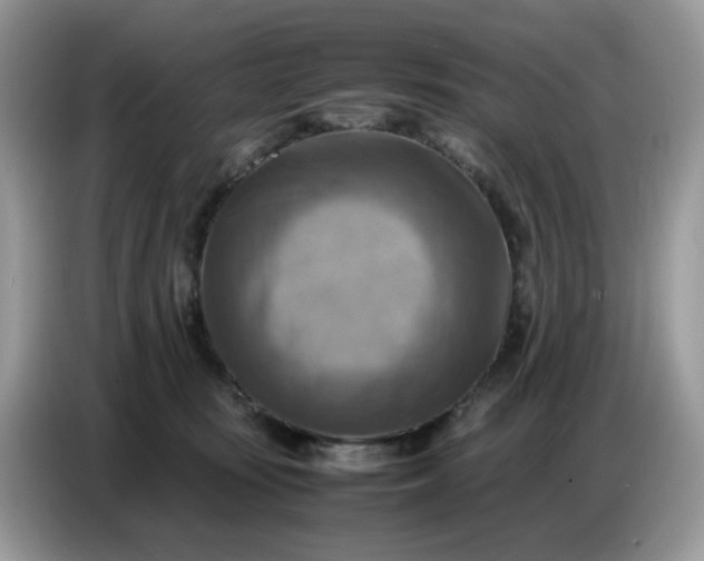 X0000086770371200704271755