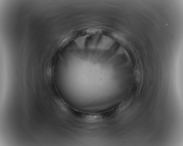 X0000086770375200704271755