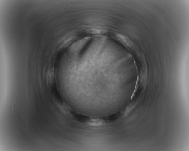 X0000086770376200704271755
