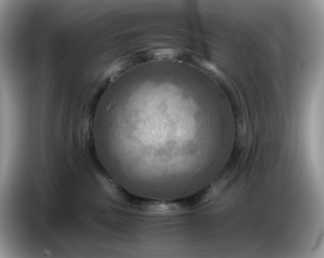 X0000086770379200704271755