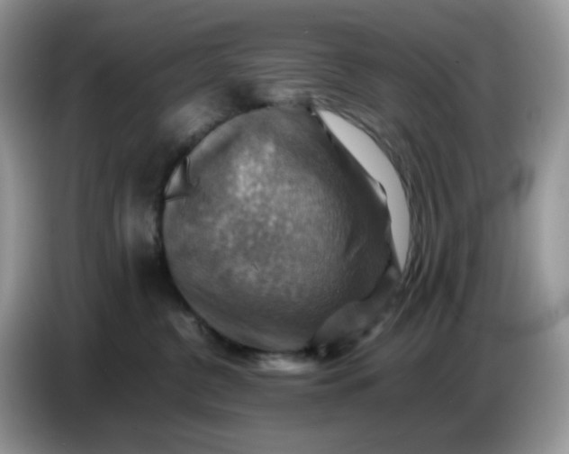 X0000086770380200704271755