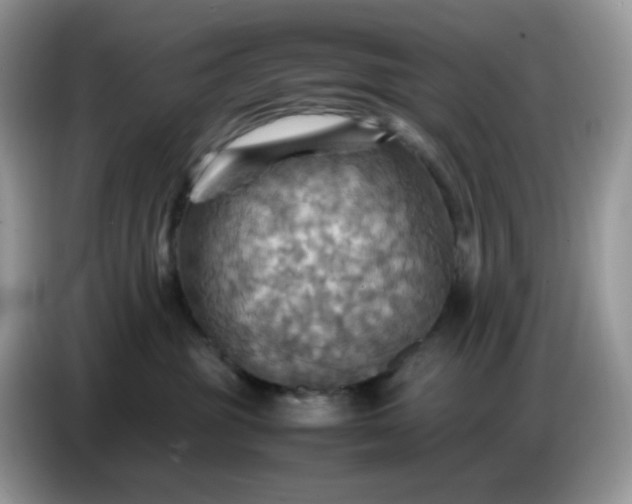 X0000086770381200704271755