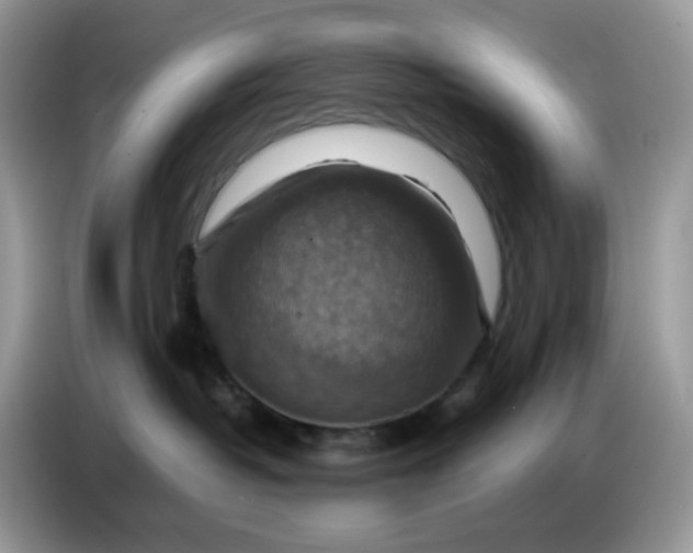 X0000086770382200704271755