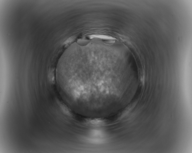 X0000086770383200704271755