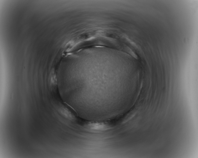 X0000086770384200704271755