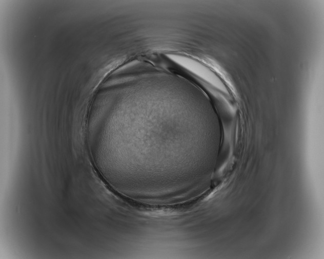 X0000086770385200704271754