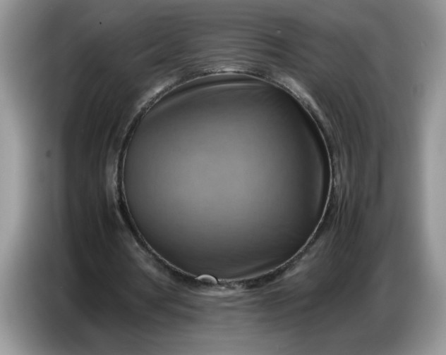 X0000086770386200704271754