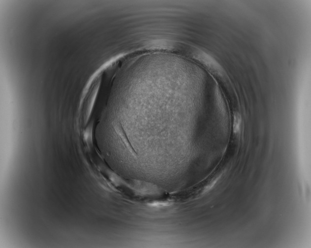 X0000086770388200704271754
