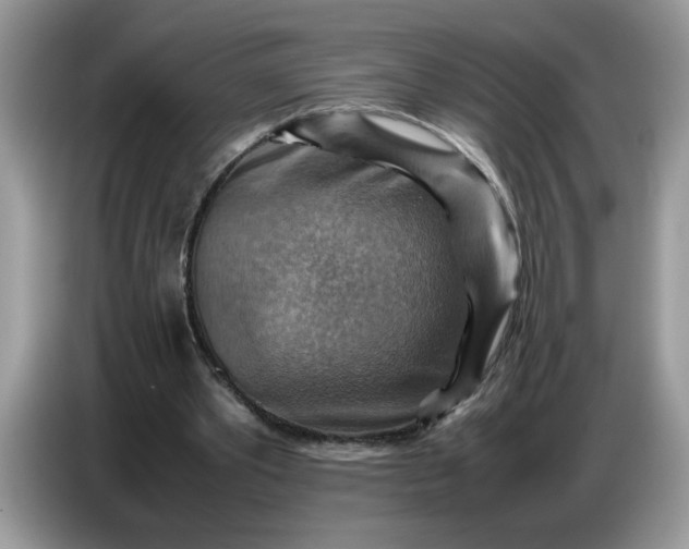 X0000086770389200704271754