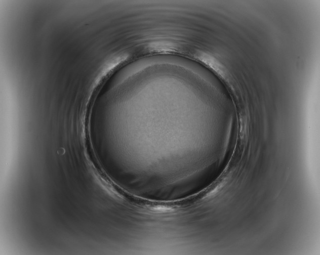 X0000086770390200704271754