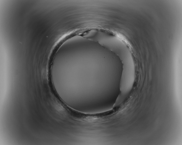 X0000086770391200704271754