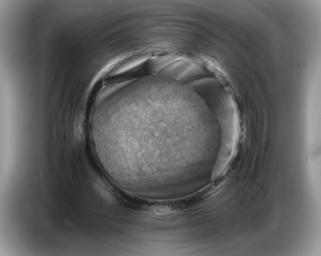 X0000086770392200704271754