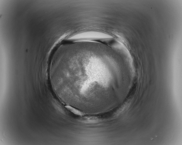 X0000086770395200704271754