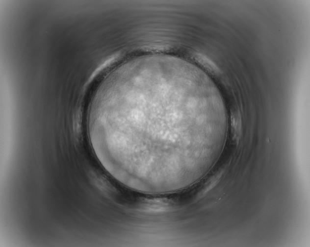 X0000086770396200704271754
