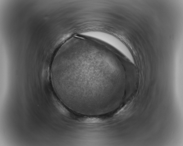 X0000086770397200704271754