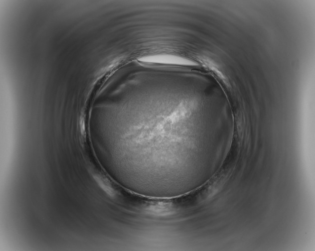 X0000086770398200704271754