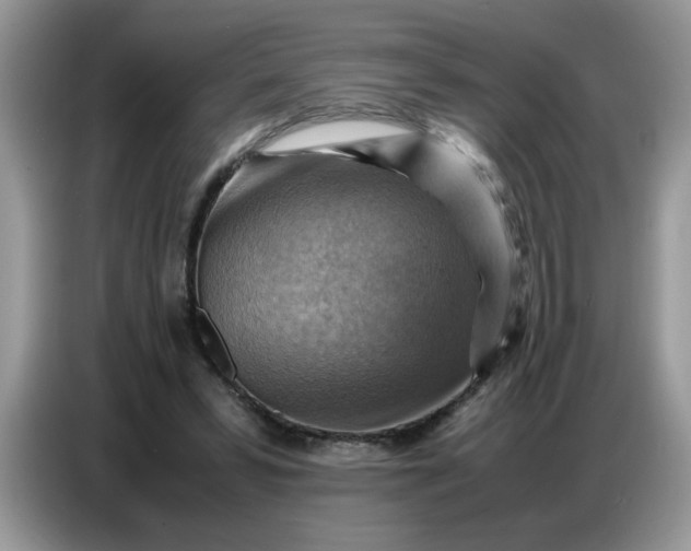 X0000086770399200704271754