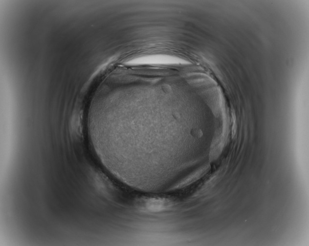 X0000086770400200704271754