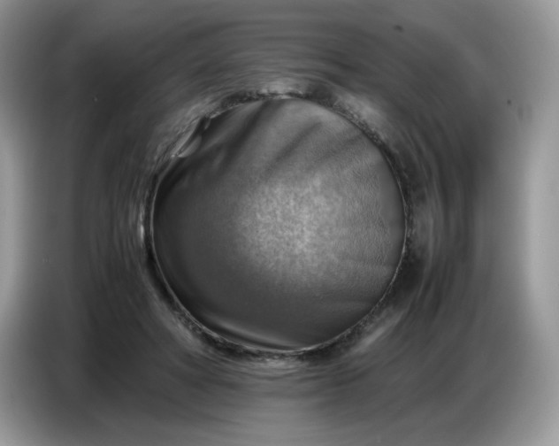 X0000086770402200704271754