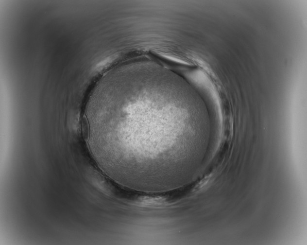 X0000086770403200704271754