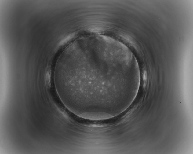 X0000086770404200704271754