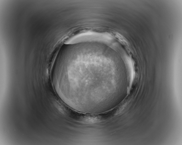 X0000086770405200704271754