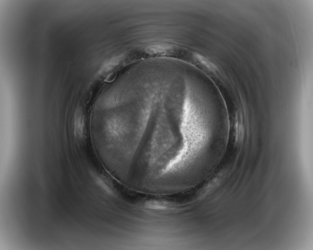 X0000086770408200704271754