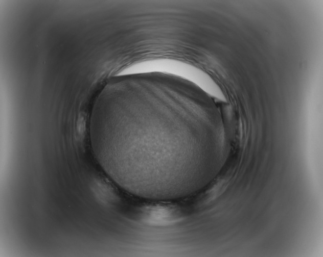 X0000086770412200704271754
