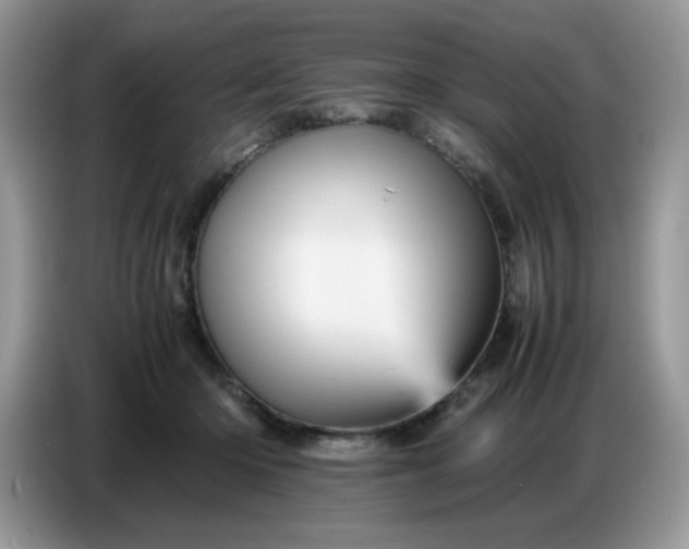 X0000086770414200704271754