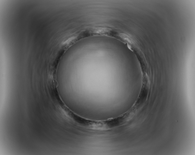 X0000086770415200704271754